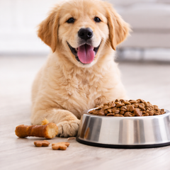 Collection image for: Köpek Ürünleri