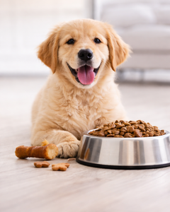 Collection image for: Köpek Ürünleri